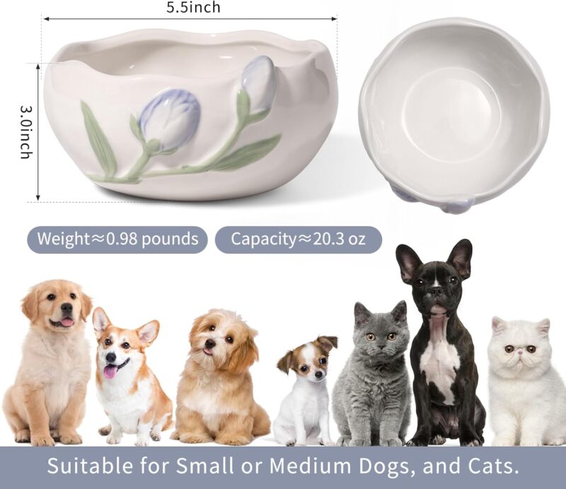 Ceramic Cute Dog & Cat Bowl, Non-Slip Design for Indoor Cat, Potable & Stable for Food, Water Use, Small to Medium Size Dog Feeding, Heated Available, Easy to Clean, 20.3oz, White - Image 4