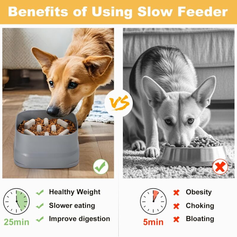 Sunhoo Slow Feeder Dog Bowls Large Breed Puppy Puzzle Feeding Dish Maze Feed Bowl Small Medium Dogs Plate Adjustable Ridges to Slower Down Eating Anti-slip Easy to Clean Indoor Use 7.5*7.5*4 in(Grey) - Image 2