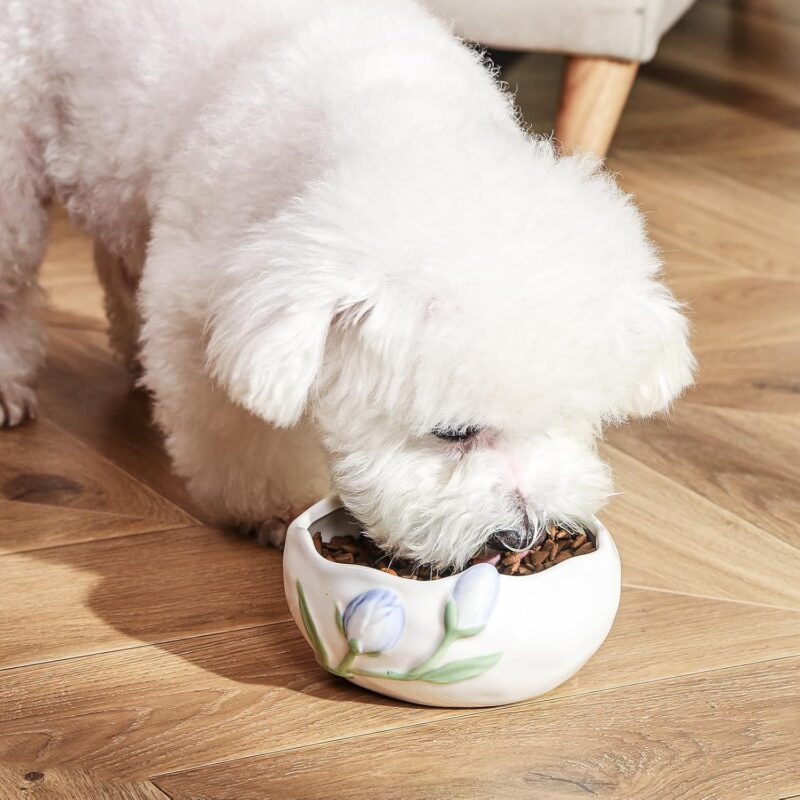 Ceramic Cute Dog & Cat Bowl, Non-Slip Design for Indoor Cat, Potable & Stable for Food, Water Use, Small to Medium Size Dog Feeding, Heated Available, Easy to Clean, 20.3oz, White - Image 3