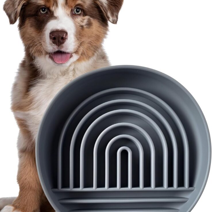 Modern Rainbow Pet Slow Feeder Bowl, Silicone Slow Feeder for Dogs & Puppies, Slow Eating, Modern Lick Mat Design, Reduces Gulping, Dishwasher Fit, for All Breed, Durable Mealtime Puzzle (Slate)