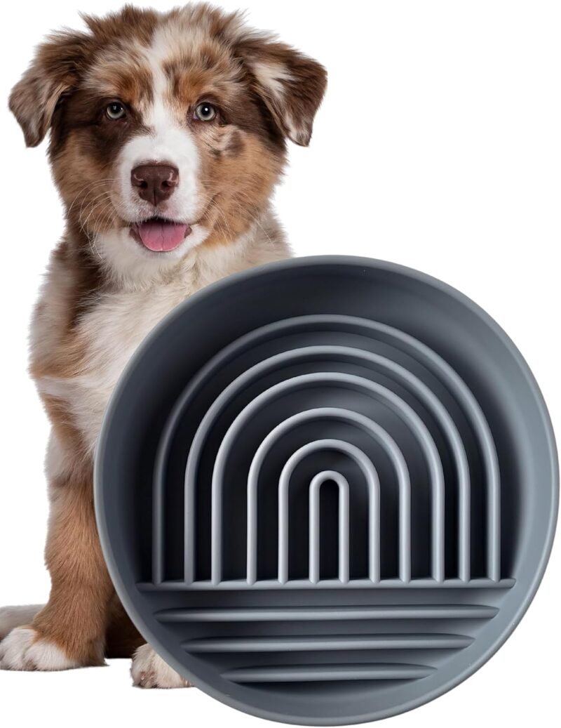 Modern Rainbow Pet Slow Feeder Bowl, Silicone Slow Feeder for Dogs & Puppies, Slow Eating, Modern Lick Mat Design, Reduces Gulping, Dishwasher Fit, for All Breed, Durable Mealtime Puzzle (Slate)