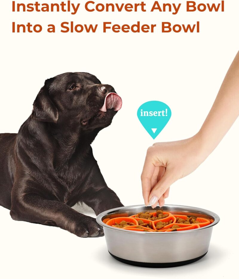 Slow Feeder Insert for Dog Bowls - Upgraded Griper System, Star Maze Design - Image 2