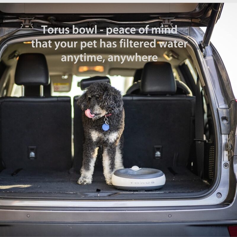 MAXI Filtered Water Bowl (Charcoal) - 2-Liter - Travel - Home - Auto-Fill - Portable Dispenser – Food Grade – Cleantech - BPA-Free - Dog – Cat – No Spill - No Splash - Image 9