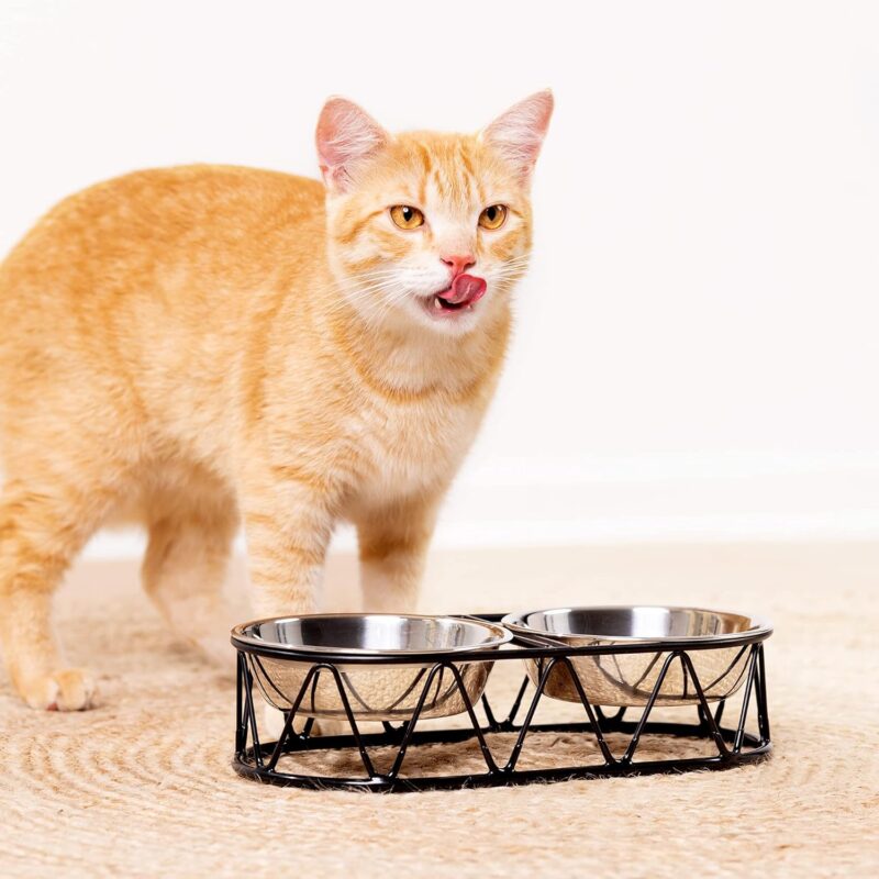 Navaris Stainless Steel Dog Bowls - Cat Food Bowls with Stand - Elevated Double Bowl and Holder for Cats & Small Dogs Raised Metal Wire Stand - Black - Image 2